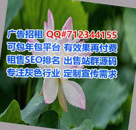 羌族IVF金融公司